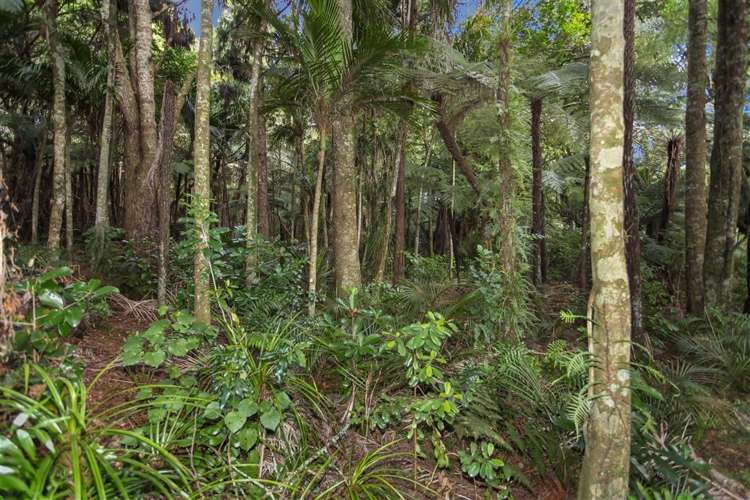 400 Ponga Road Opaheke_18