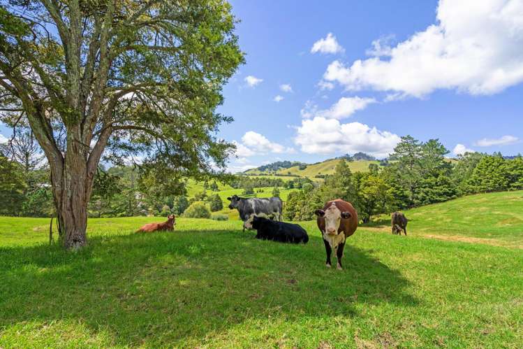 395 Tangihua Road Maungakaramea_9