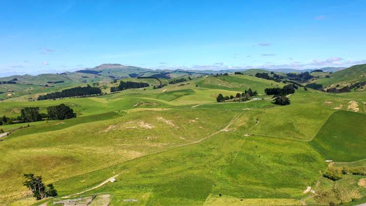 207 Mangatuna Road Weber_4