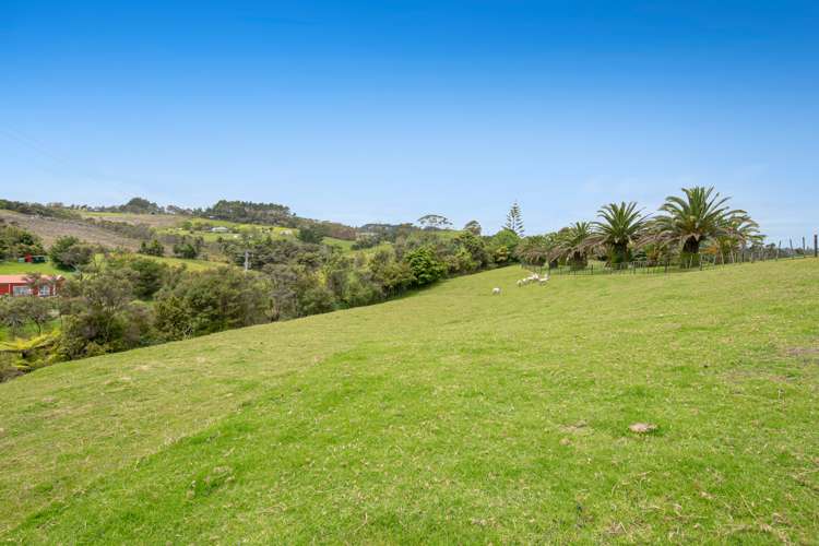 85 Jordan Road Kaukapakapa_53