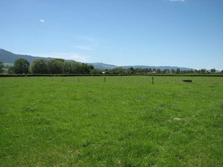 205 Taihoa North Road Matamata_9