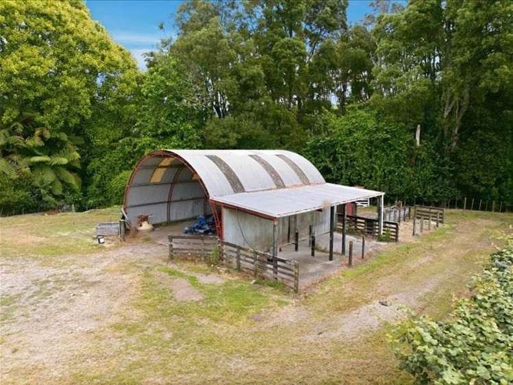 1399A No. 3 Road Te Puke_8