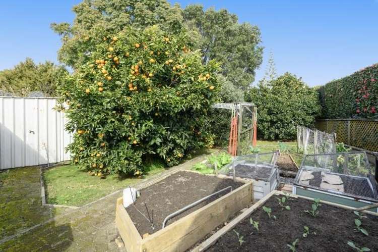 561 Cambridge Road Tauriko_40