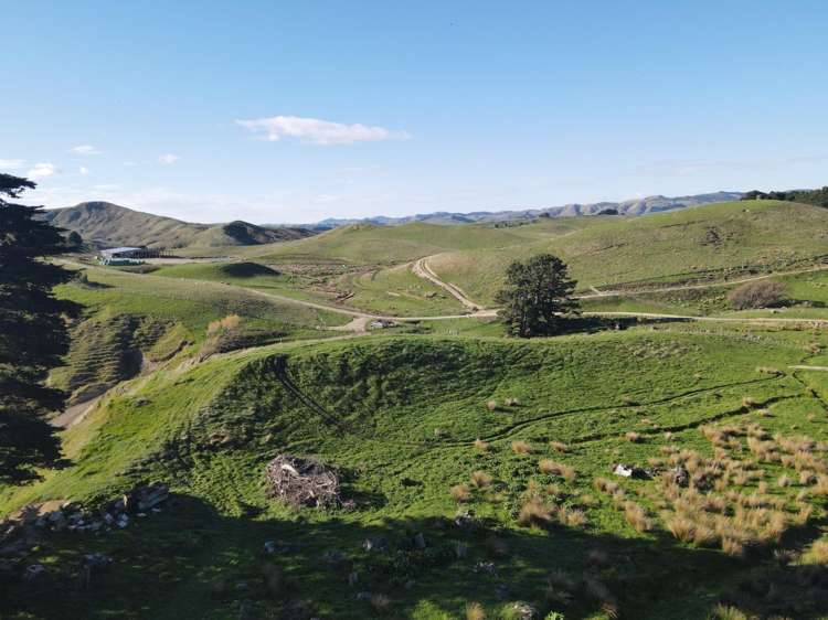 147 Mangatuna Road Dannevirke_18