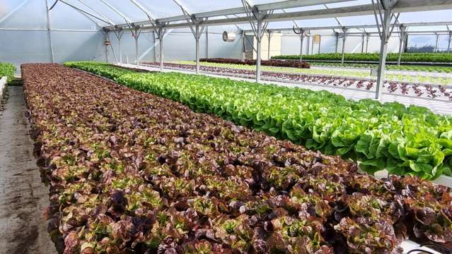 116 Wingatui Road Mosgiel_1