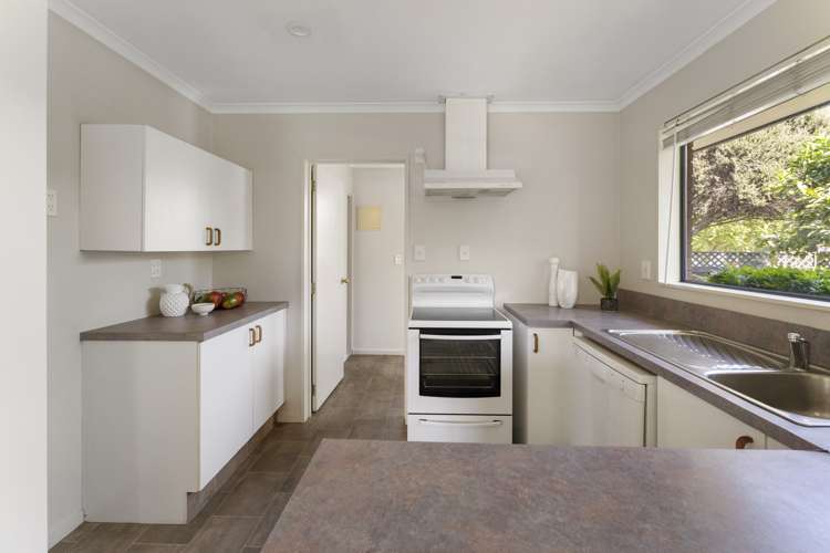 95 Green Street Tahunanui_12