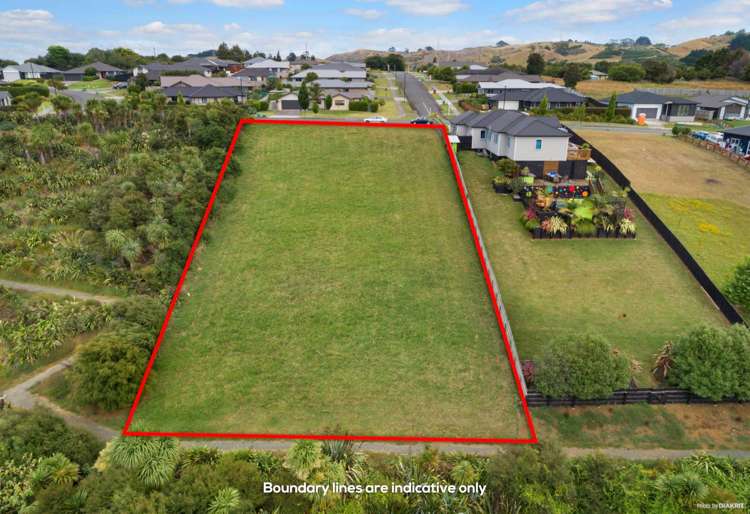 41 Mark Ball Drive Pokeno_2