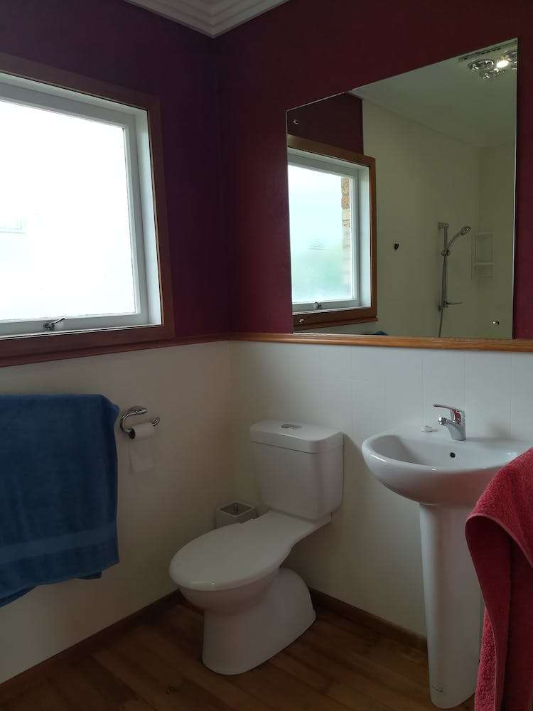 17 Park Street Morrinsville_20