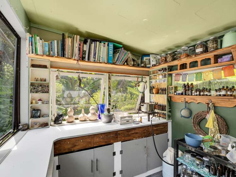 Ohiwa Loop Road Waiotahi_8