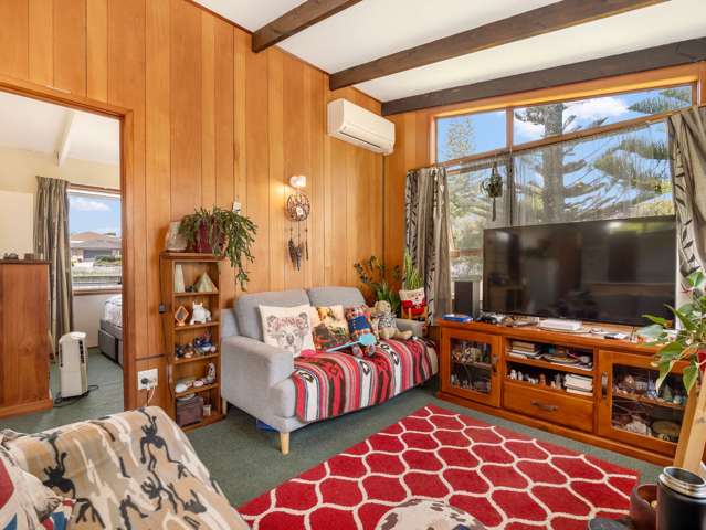 33a Ladies Mile Manly_4