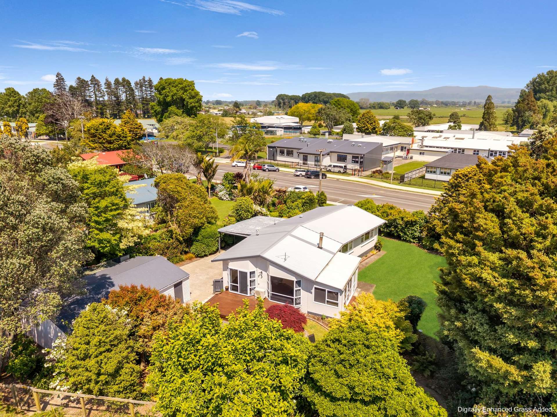 81 College Road Edgecumbe_0