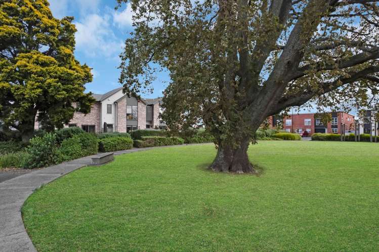 55 Waituarua Drive Conifer Grove_22