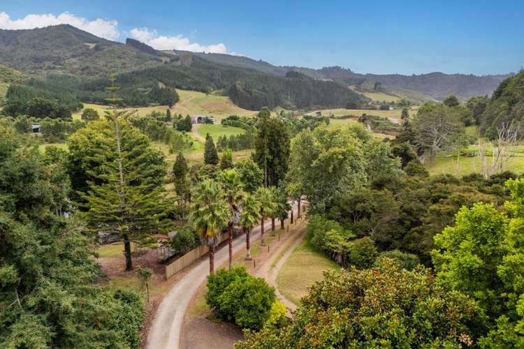 365 Mill Creek Road Whitianga_59