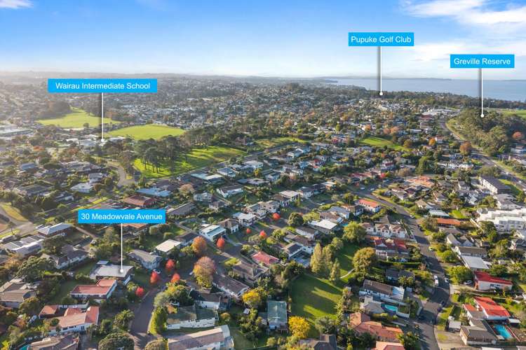 30 Meadowvale Avenue Forrest Hill_23