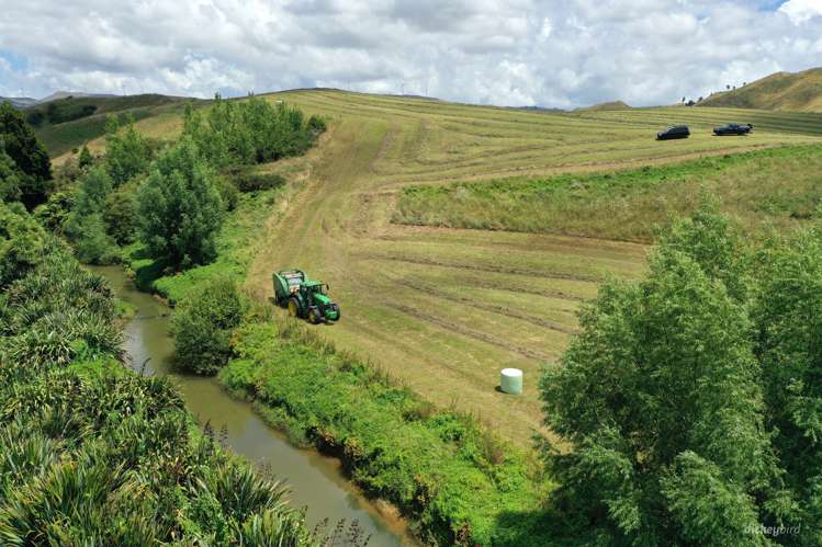 211 Waitetuna Valley Road Raglan_13