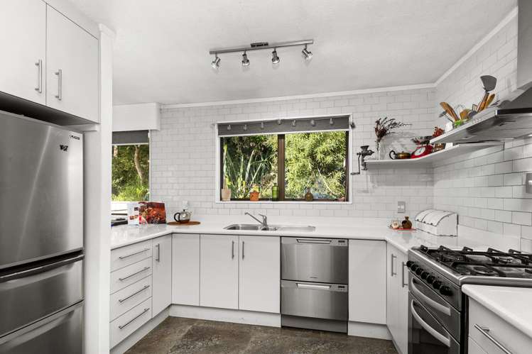 35 Amber Grove Birchville_2