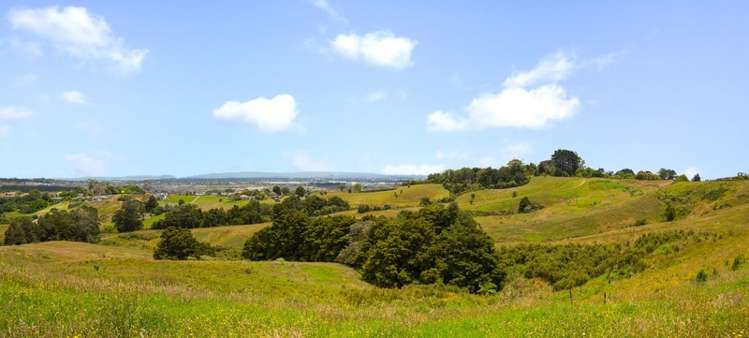 21 Kitenga Road Flat Bush_0