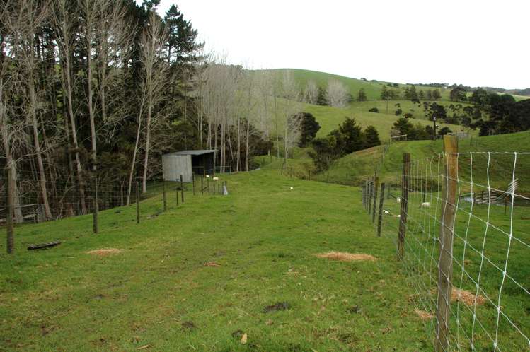 156 Shanks Road Helensville_16