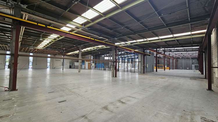 37-41 Poland Road Wairau Valley_2