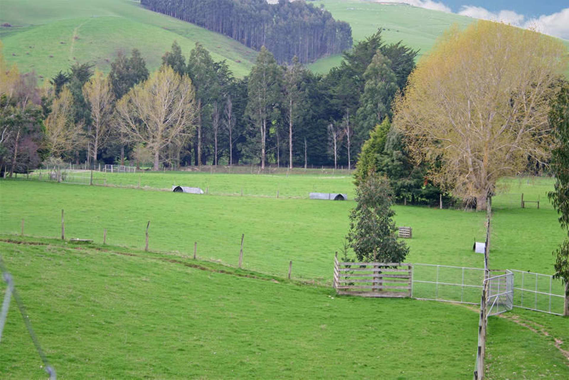 Lockharts Road Waitahuna_0