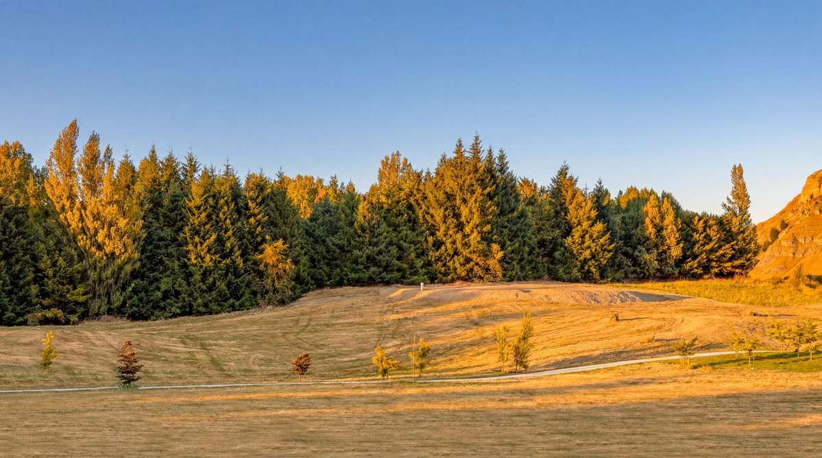 26 Fitzpatrick Road_5