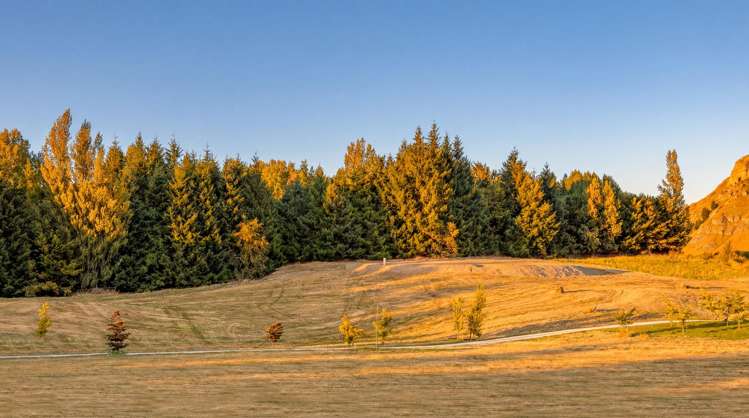 26 Fitzpatrick Road Dalefield/Wakatipu Basin_9