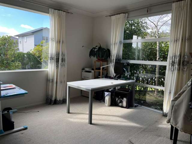 1 Papango Street Stonefields_4