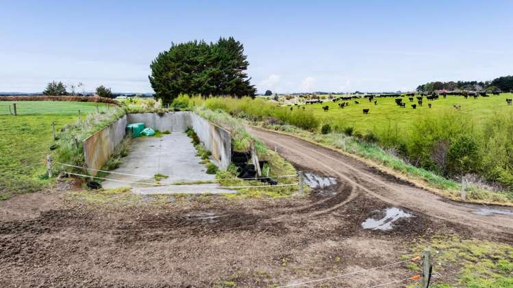 0n Ngarongo Road Normanby_79