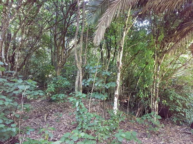 Torea Moua Bay Marlborough_17