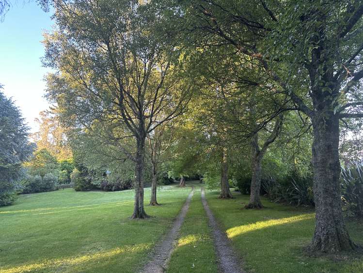 33 Omori Road Omori_28