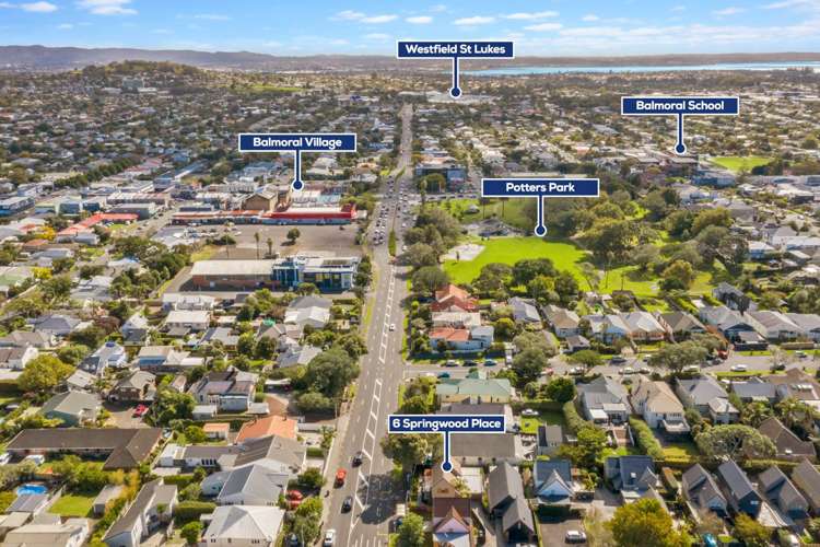 6 Springwood Place Mount Eden_19