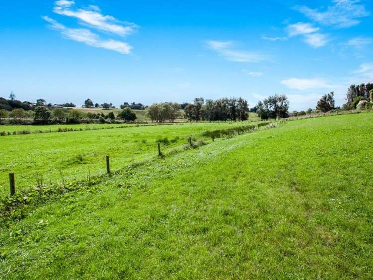 62 Grant Road Opotiki and Surrounds_9