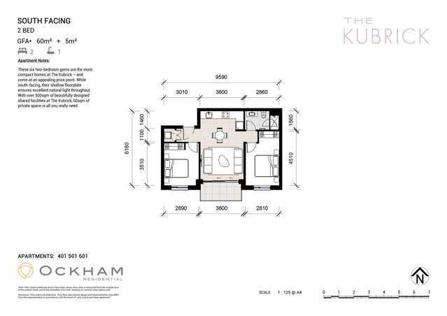 401/8 Pratt Street Freemans Bay_1