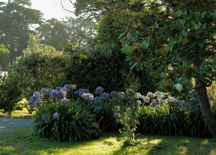 27E Haumoana Road Haumoana_7