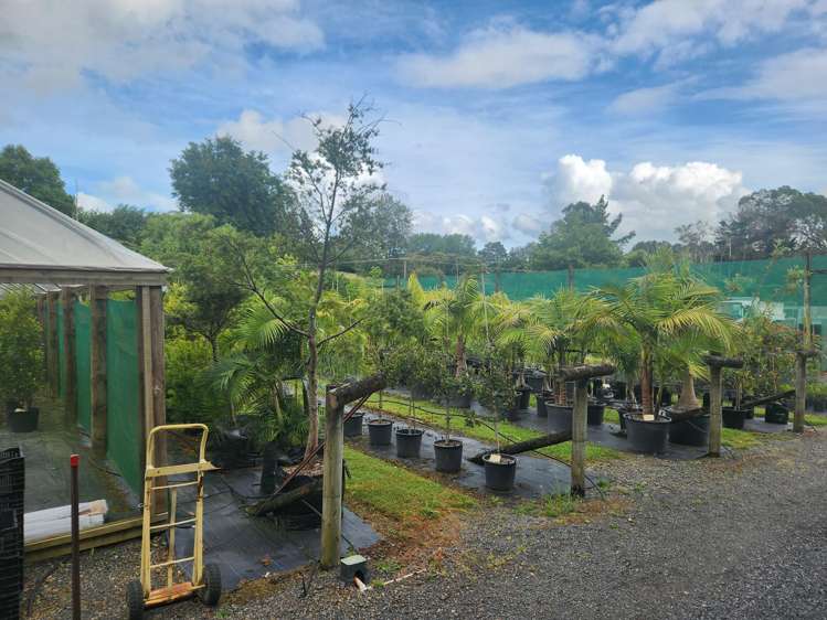 275 Fitzgerald Road Drury_16