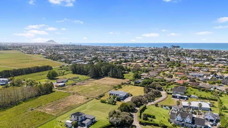 29 Royal Ascot Drive Papamoa_43