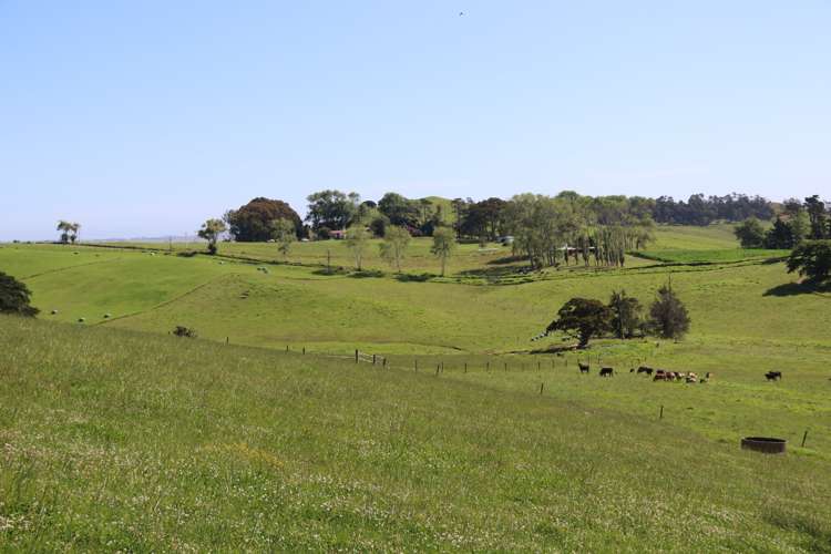 176 Morrison Road Arapohue_8