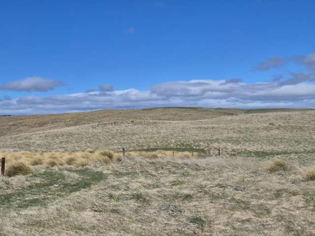 Golden Bar Road Dunback_3