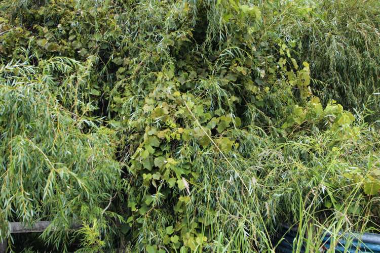 133 Okahu Road Kaitaia_30