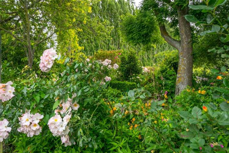 213 Chaytors Road Spring Creek_29