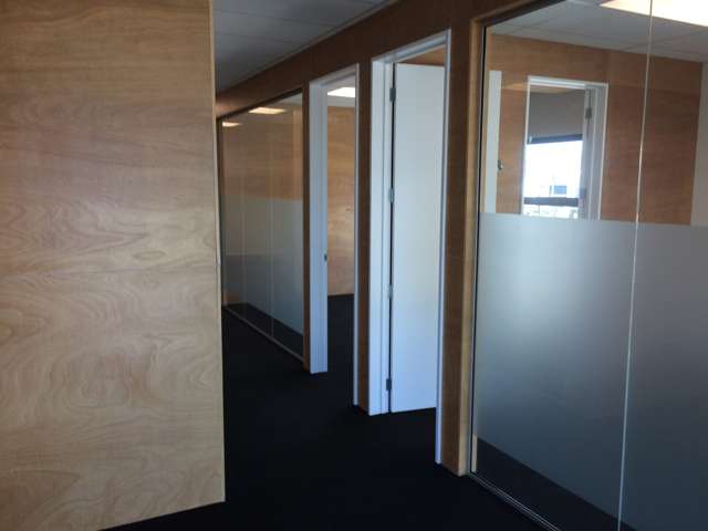 239 Opawa Road Hillsborough_3