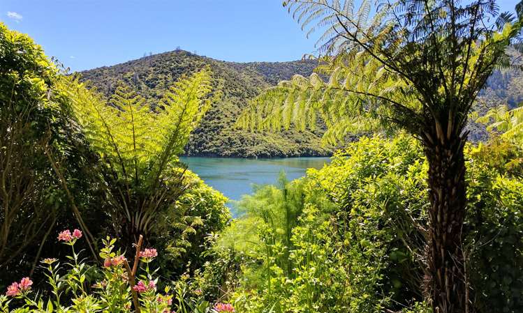 417 Port Underwood Road Whatamango Bay_28