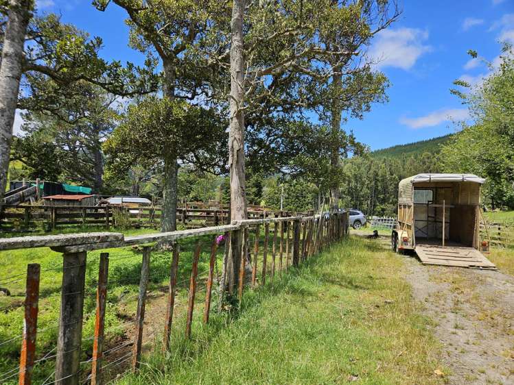 56 Ha Ha Road Pakotai_13