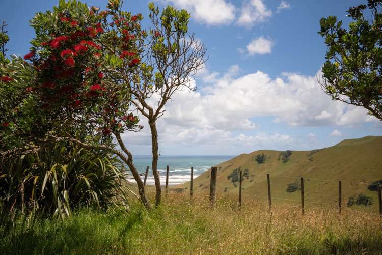 44 J Irwin Road Waiuku_11