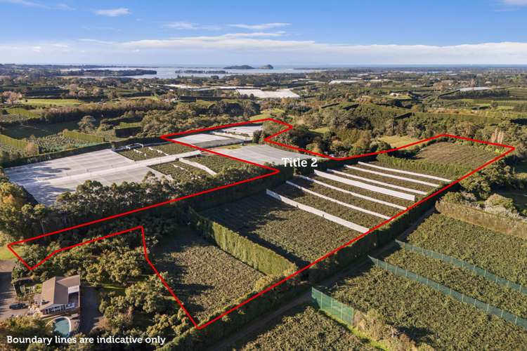 416 State Highway 2 Katikati_14