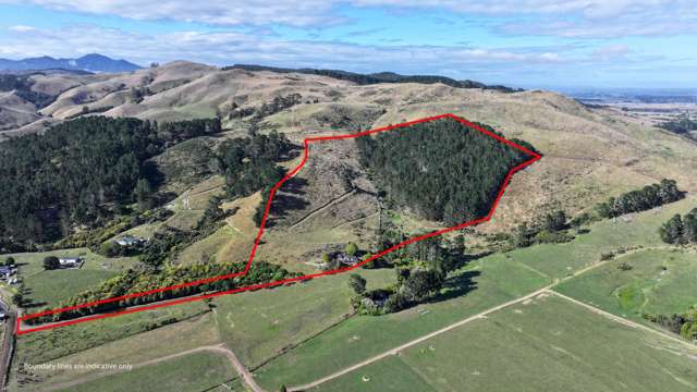 183b Thorp Road Paeroa_1