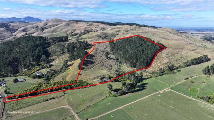 183b Thorp Road Paeroa_1