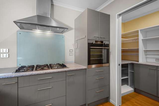 16b Croydon Street Sydenham_1