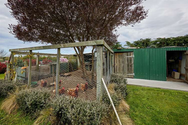 173a Mill Road Kaikoura_50