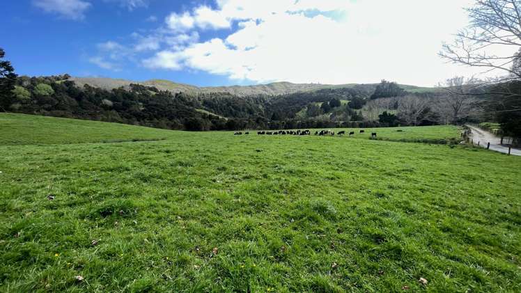 1149 Whangaripo Valley Road Whangaripo_12